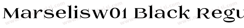 Marselisw01 Black Regular字体转换
